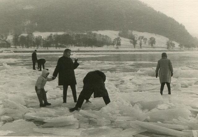 Eis auf der Donau in Grein. | Foto: August Wiesinger