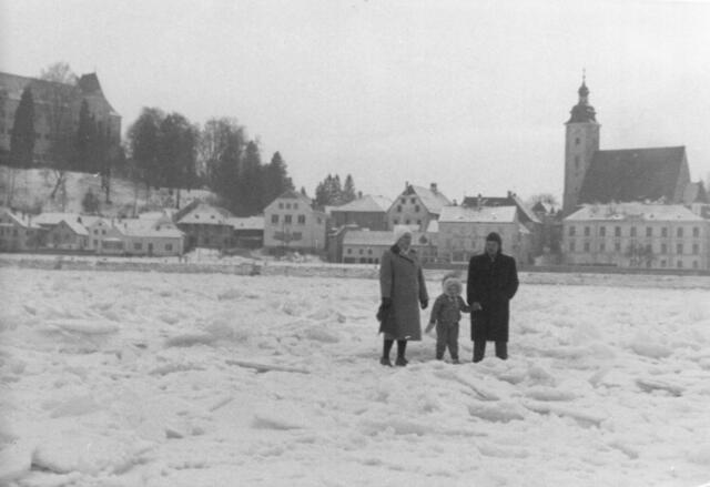 Vereiste Donau in Grein und Blick auf die Stadt. | Foto: August Wiesinger