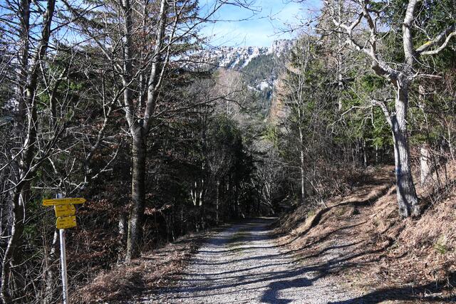 Geradeaus Törlweg zum Ottohaus, rechts Steig zur Bergstation 
