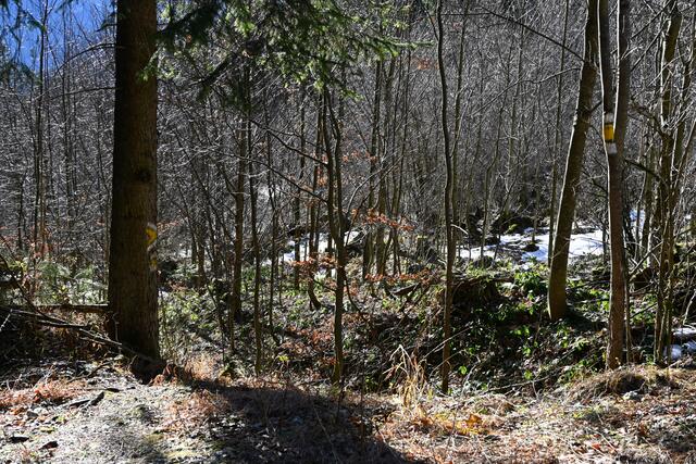 Hier geht der gelb markierte Wanderweg hinunter nach Großau