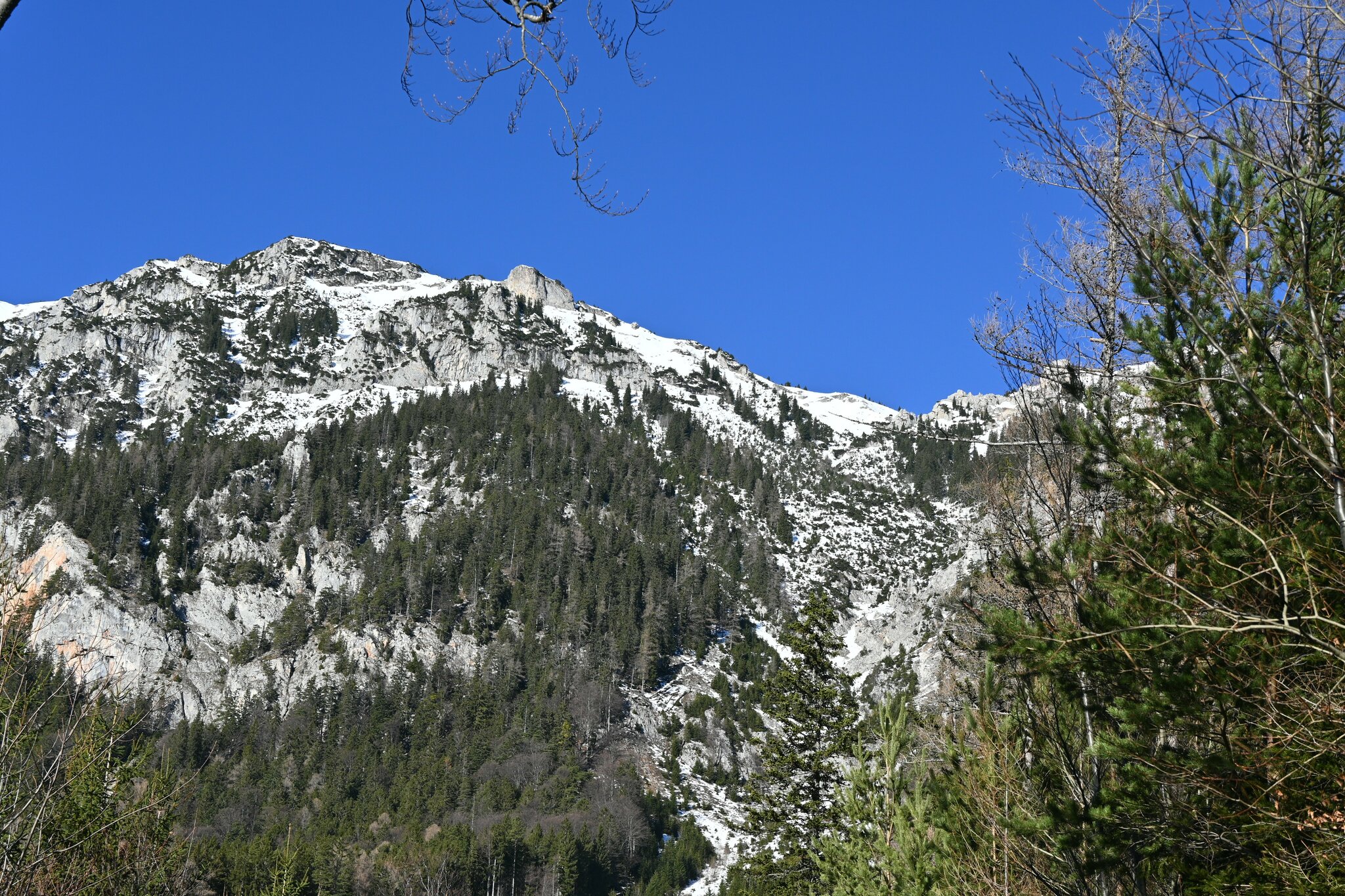 Wandern im Raxgebiet: Raxblicke, Rundwanderung am Fuße der Rax (2 ...