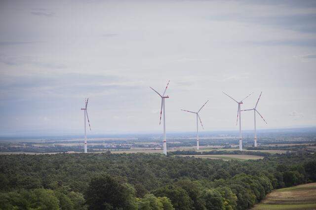 Fünf der sieben Windkraftanlagen im Windpark Palterndorf-Dobermannsdorf/Neusiedl an der Zaya wurden bereits errichtet. | Foto: Alexandra Goll