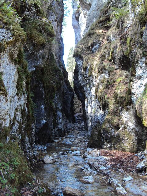 Der Erlebnisweg Roßlochklamm in Neuberg an der Mürz bleibt bis auf Weiteres geschlossen.  | Foto: Filzwieser
