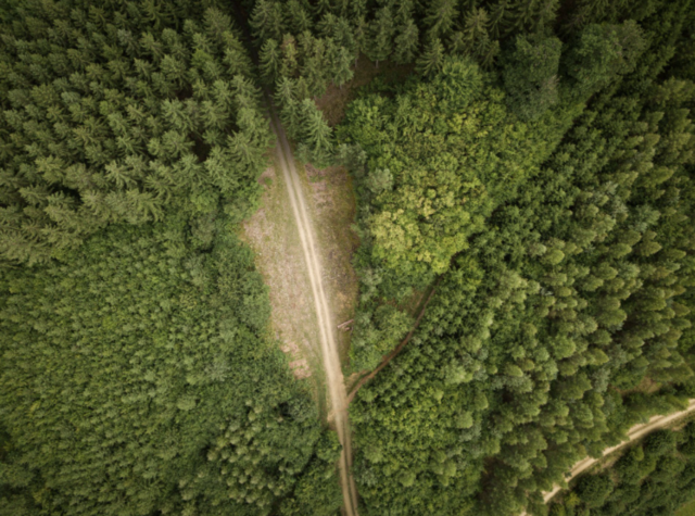 Österreichs Forststraßen sind 218.000 Kilometer lang, weshalb der WWF nun strengere gerichtliche Vorgaben fordert. | Foto: Christian Lendl