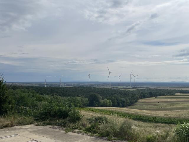 Foto: Alexandra Goll