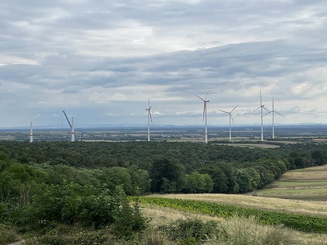 Foto: Alexandra Goll