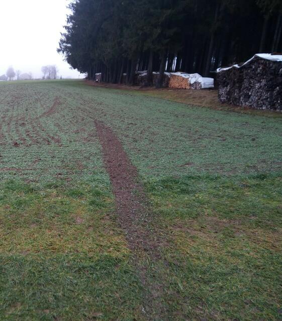 Bei Feldern wird teilweise die Saat durch die Motorschlitten herausgerissen. | Foto: privat