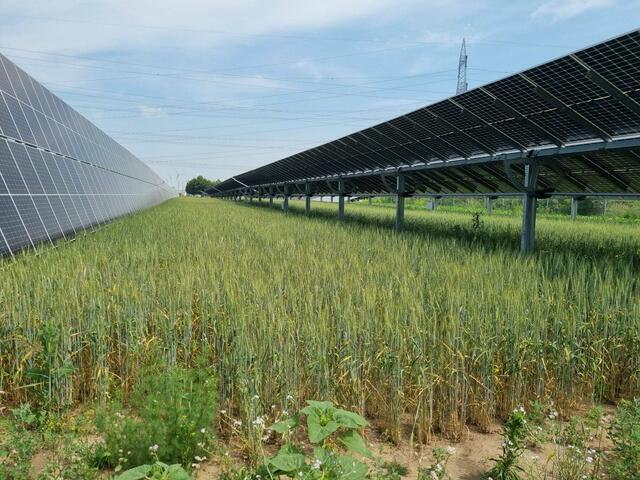 Bilder von einer Begehung der Anlage EWS Sonnenfeld/Bruck im Juli 2023. | Foto: Privat