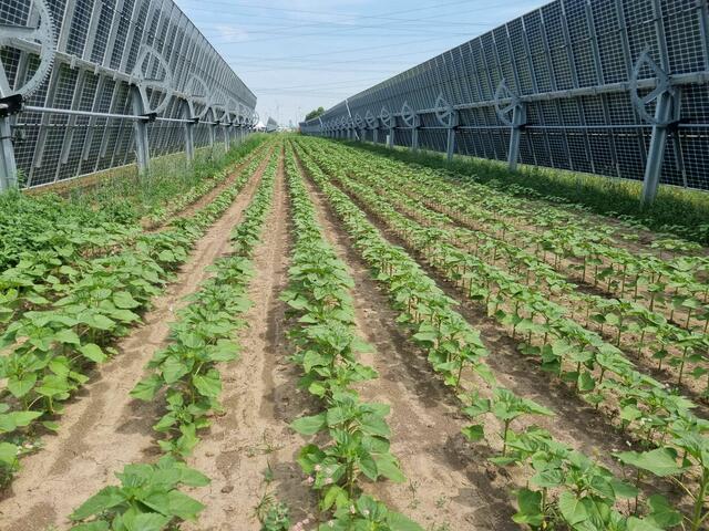 Bilder von einer Begehung der Anlage EWS Sonnenfeld/Bruck im Juli 2023. | Foto: Privat