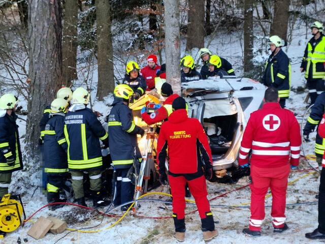 Feuerwehr, Rettungsdienst sowie Polizei und ein Notarzthubschrauber machten sich auf zum Notfallort. | Foto: DOKU-NÖ