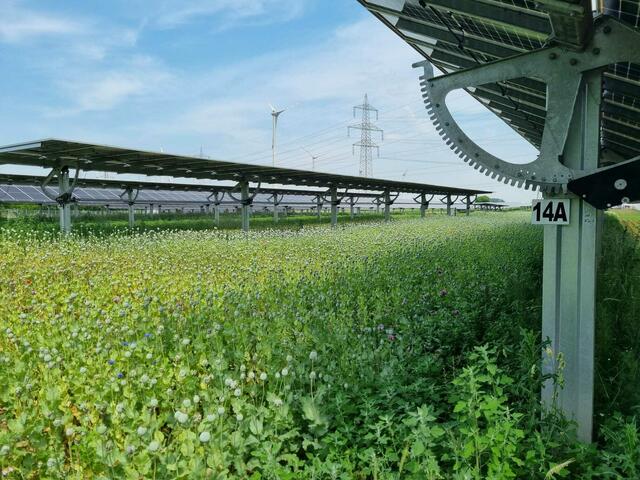 Bilder von einer Begehung der Anlage EWS Sonnenfeld/Bruck im Juli 2023. | Foto: Privat