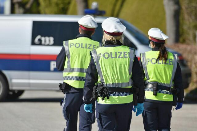 15 Langwaffen, zehn Pistolen, Bajonette, Stahlruten und NS-Devotionalien wurden im Pongau sichergestellt. | Foto: stock.adobe.com/Spitzi-Foto (Symbolfoto)