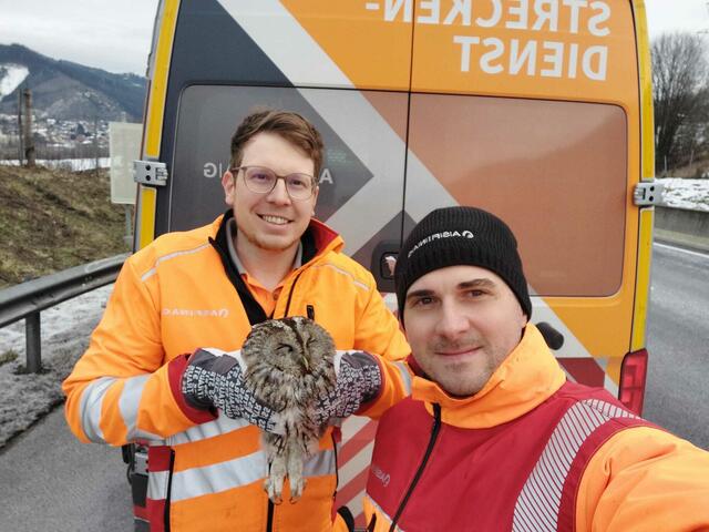 Manuel Eder und Michael Schütter mit dem geretteten Waldkauz auf der Semmering Schnellstraße. Leider verstarb er wenig später.  | Foto: ASFINAG