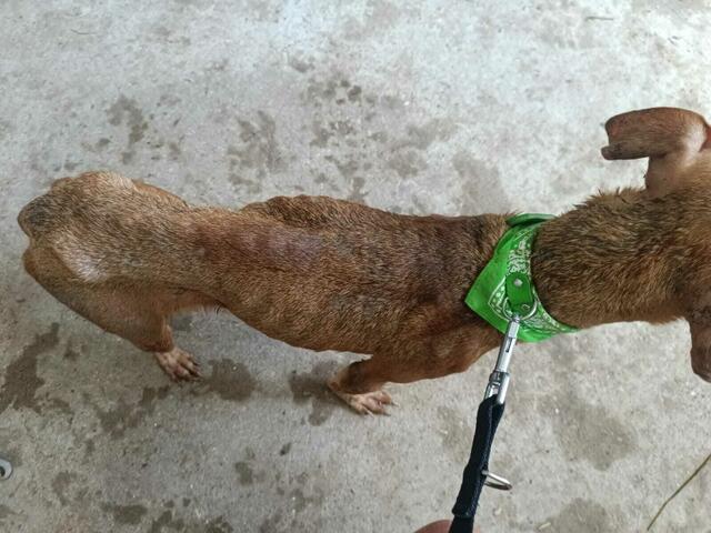 Wölkchen bei ihrer Ankunft vor rund vier Monaten. 
