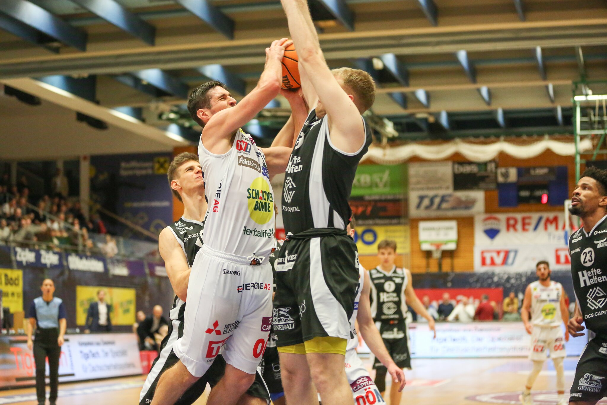 Basketball: OCS Swans Gmunden besiegen Kapfenberg mit 110:72 - ...