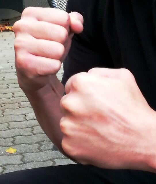 Ein 28-Jähriger und ein 34-Jähriger müssen sich wegen teils schwerer Körperverletzungen vor dem Landesgericht verantworten. | Foto: IP