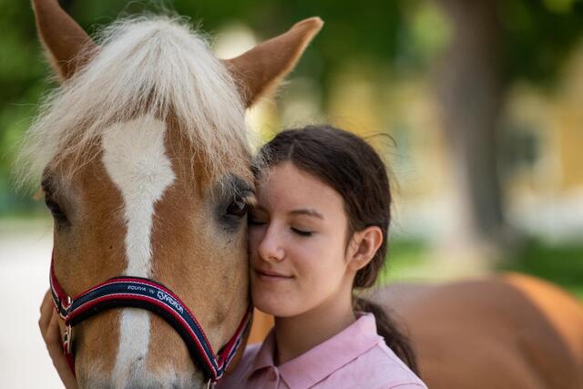 Auf die beiden Hafis Boy und Belgrado war stets Verlass. Sie halfen vielen Reitschülern durch die verschiedenen Prüfungen. Nun dürfen sie ihren Ruhestand antreten. | Foto: abz Lambach