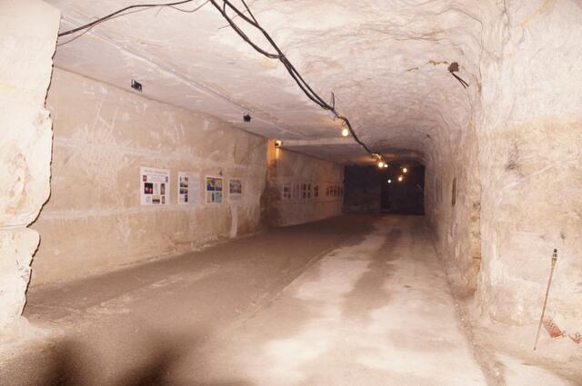 Viele Insassen aus dem KZ Mauthausen wurden 1944 in das KZ-Außenlager Aflenz transportiert. Bis Kriegsende gab es dann bei dieser Zwangsarbeit auch viele tote Häftlinge. | Foto: Waltraud Fischer