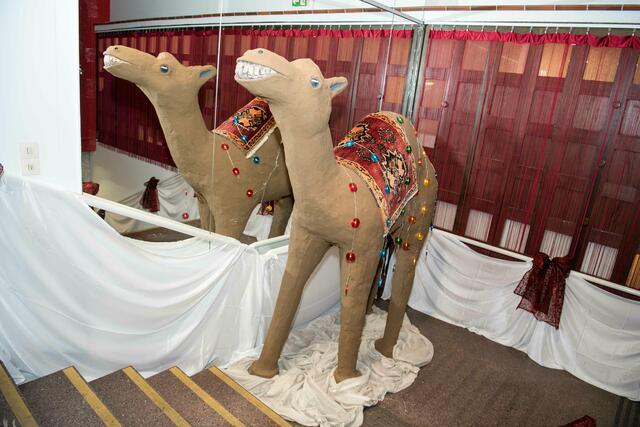 Foto: Dieter Arbeiter