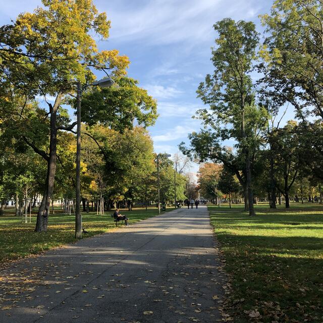 Mit 55,9 Prozent an Grünflächen hat die Leopoldstadt vergleichsweise wenig Bau- und Verkehrsflächen. | Foto: Kathrin Klemm