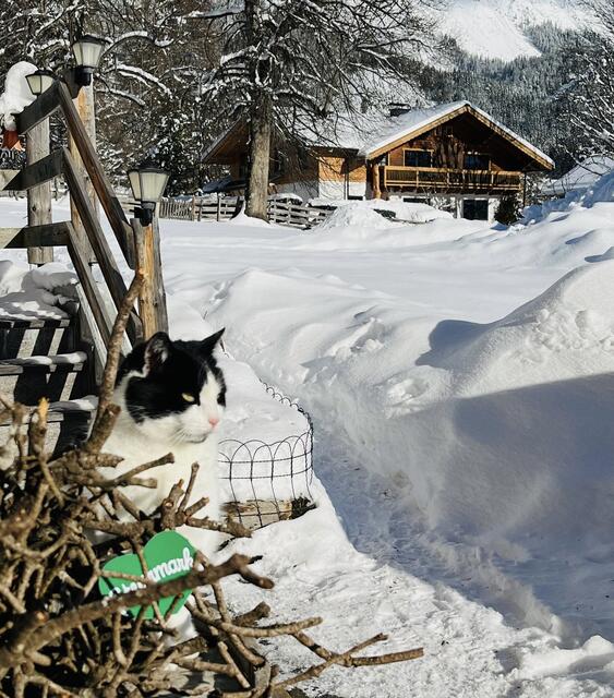 Winterfotos mit dem grünen Herzen können bis 29. Februar übermittelt werden. | Foto: Ute Hödl