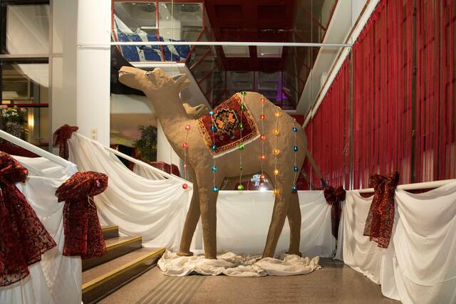 Foto: Dieter Arbeiter