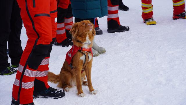 Gespannt und nervös warteten die Suchhunde auf ihren Trainingseinsatz. | Foto: Johannes Brandner
