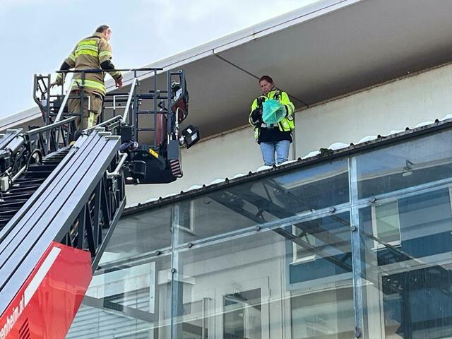 Foto: Österreichische Tierrettung