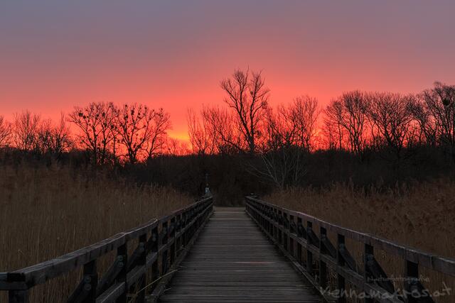 Sonnenaufgang am Josefsteg. | Foto: Anton Simon
