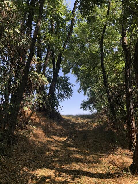 Foto: Alexandra Goll