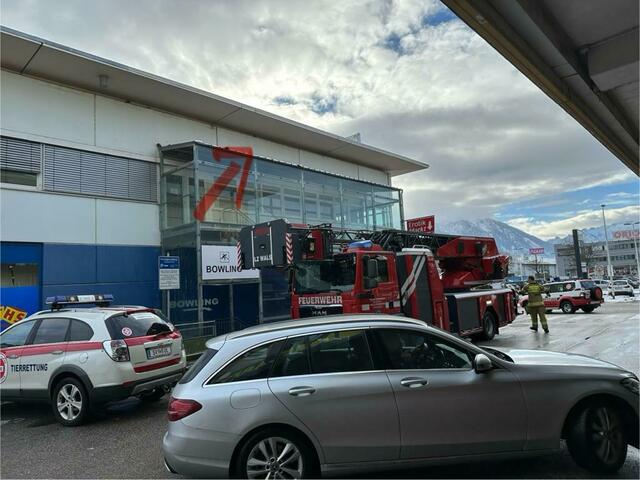 Foto: Österreichische Tierrettung
