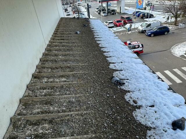 Foto: Österreichische Tierrettung