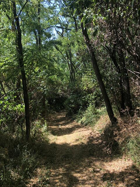 Foto: Alexandra Goll