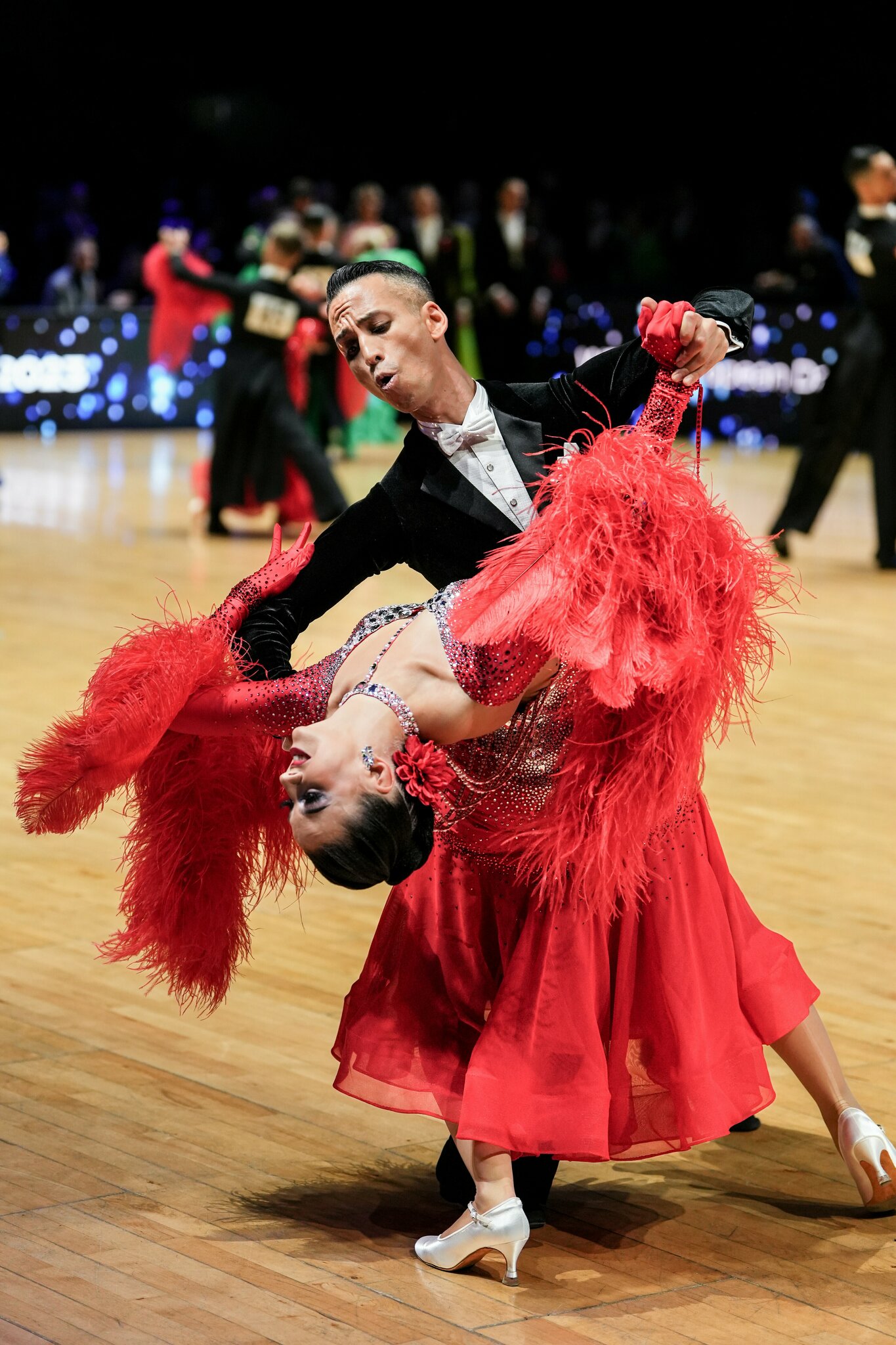 Sensation: Tanz-Staatsmeister kommen zum Sportlerball in Schrems - Gmünd