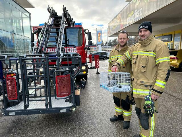 Die Freiwillige Feuerwehr Wals holte die sterbenden Tiere vom Dach. | Foto: Österreichische Tierrettung