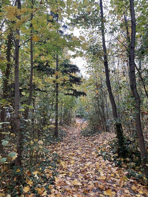 Foto: Alexandra Goll