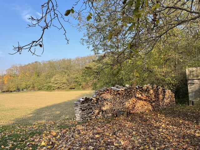 Foto: Alexandra Goll