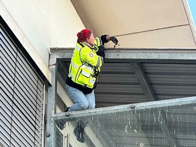 Foto: Österreichische Tierrettung