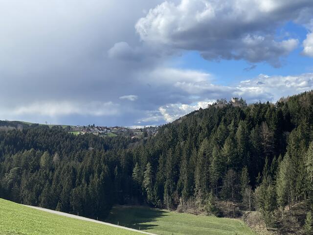 Foto: Alexandra Goll