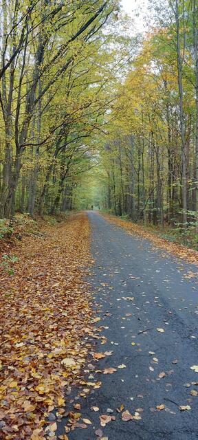 Foto: Alexandra Goll