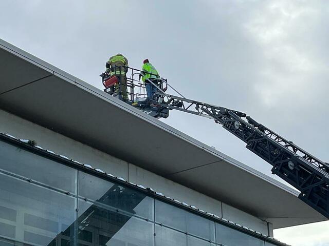 Foto: Österreichische Tierrettung
