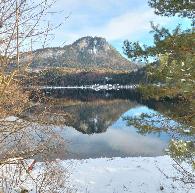 Blick zum Tressenstein