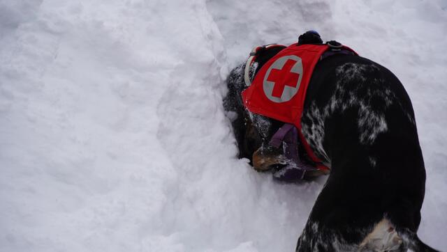 Foto: Johannes Brandner