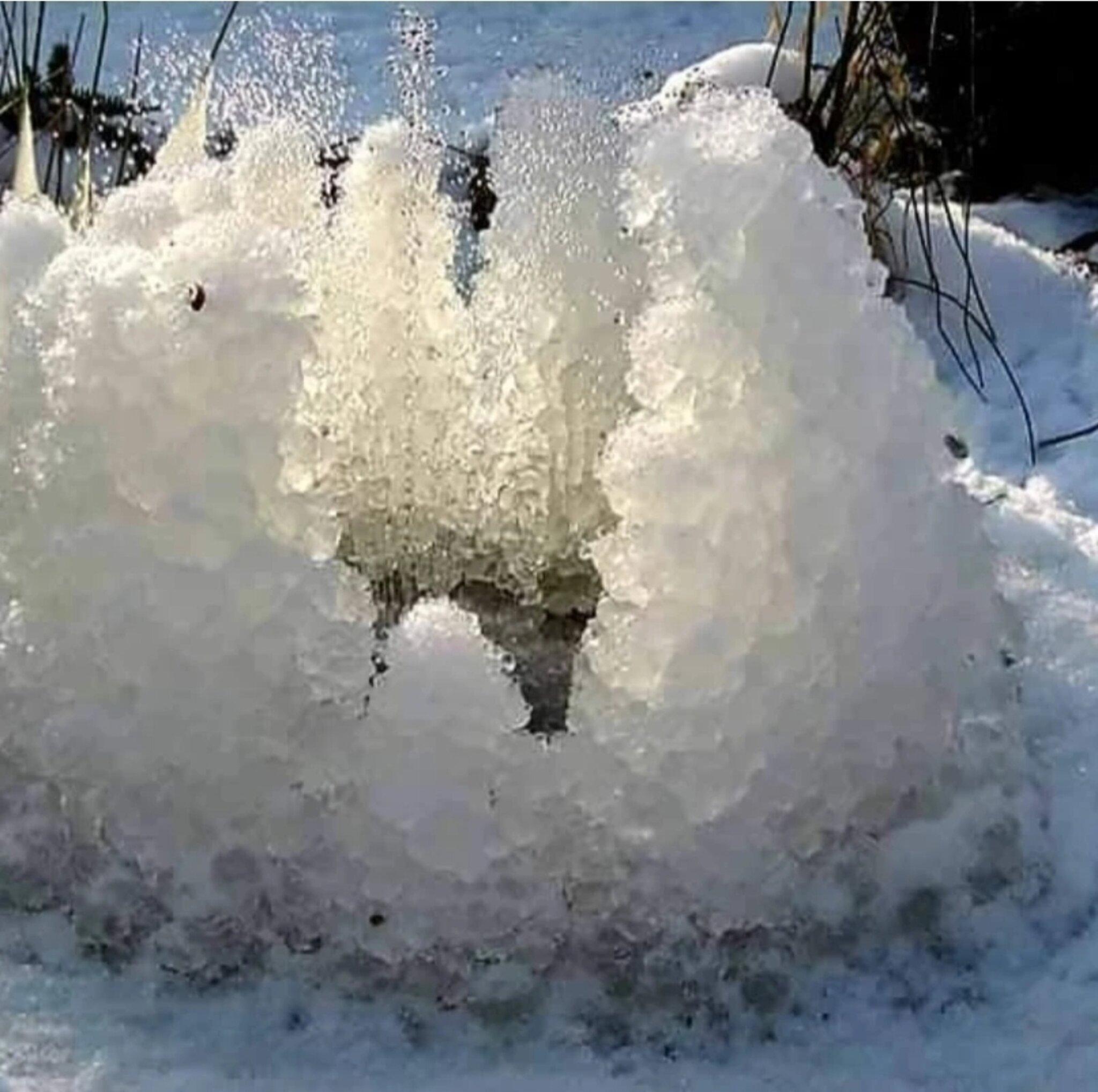 Springbrunnen gefroren: Eisgugelhupf im Biotop - Melk