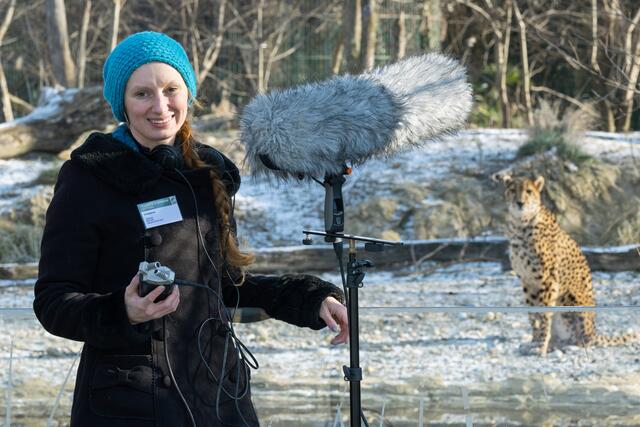 Katharina Prager belauscht im Tiergarten Schönbrunn die Geparden, bevor es in die Wildnis von Südafrika geht.  | Foto: Daniel Zupanc