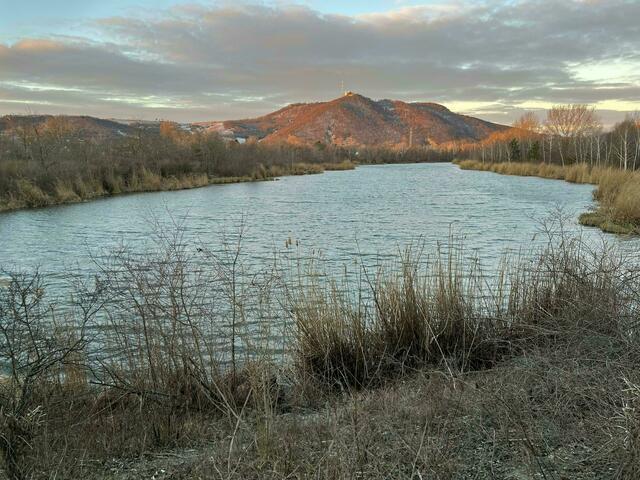 Die Polizei sucht weiter. | Foto: BARBARA BUCHEGGER / APA / picturedesk.com