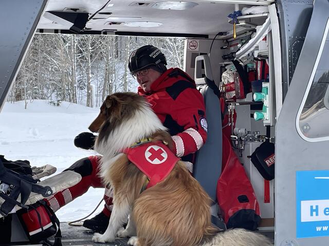 Im Helikopter werden die Hunde an das laute Fluggeräusch und die für sie ungewöhnliche Umgebung gewöhnt. | Foto: Johannes Brandner