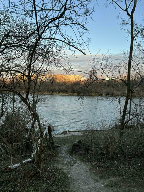Im Marchfeldkanal sollen weitere Leichenteile entdeckt worden sein. | Foto: BARBARA BUCHEGGER / APA / picturedesk.com