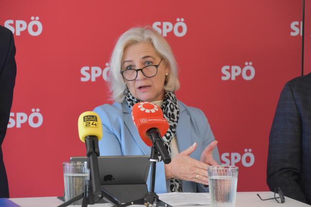 „Wir haben immer bewiesen, dass wir Probleme aufgreifen und Lösungen dafür finden", so Sozialstadträtin Andrea Brandner. | Foto: Philip Steiner