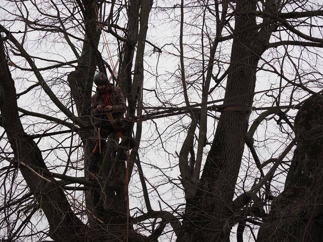 Foto: Christian Rinner